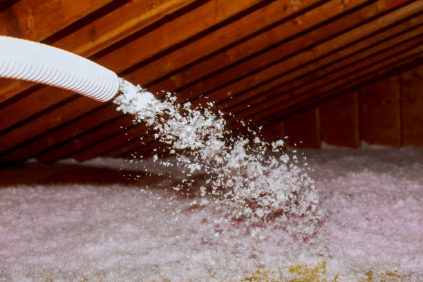 Best Insulation Maintenance and Repair in Troy, MI